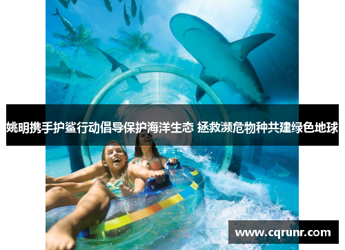 姚明携手护鲨行动倡导保护海洋生态 拯救濒危物种共建绿色地球