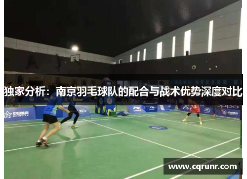 独家分析：南京羽毛球队的配合与战术优势深度对比