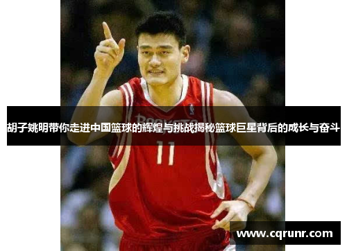 胡子姚明带你走进中国篮球的辉煌与挑战揭秘篮球巨星背后的成长与奋斗